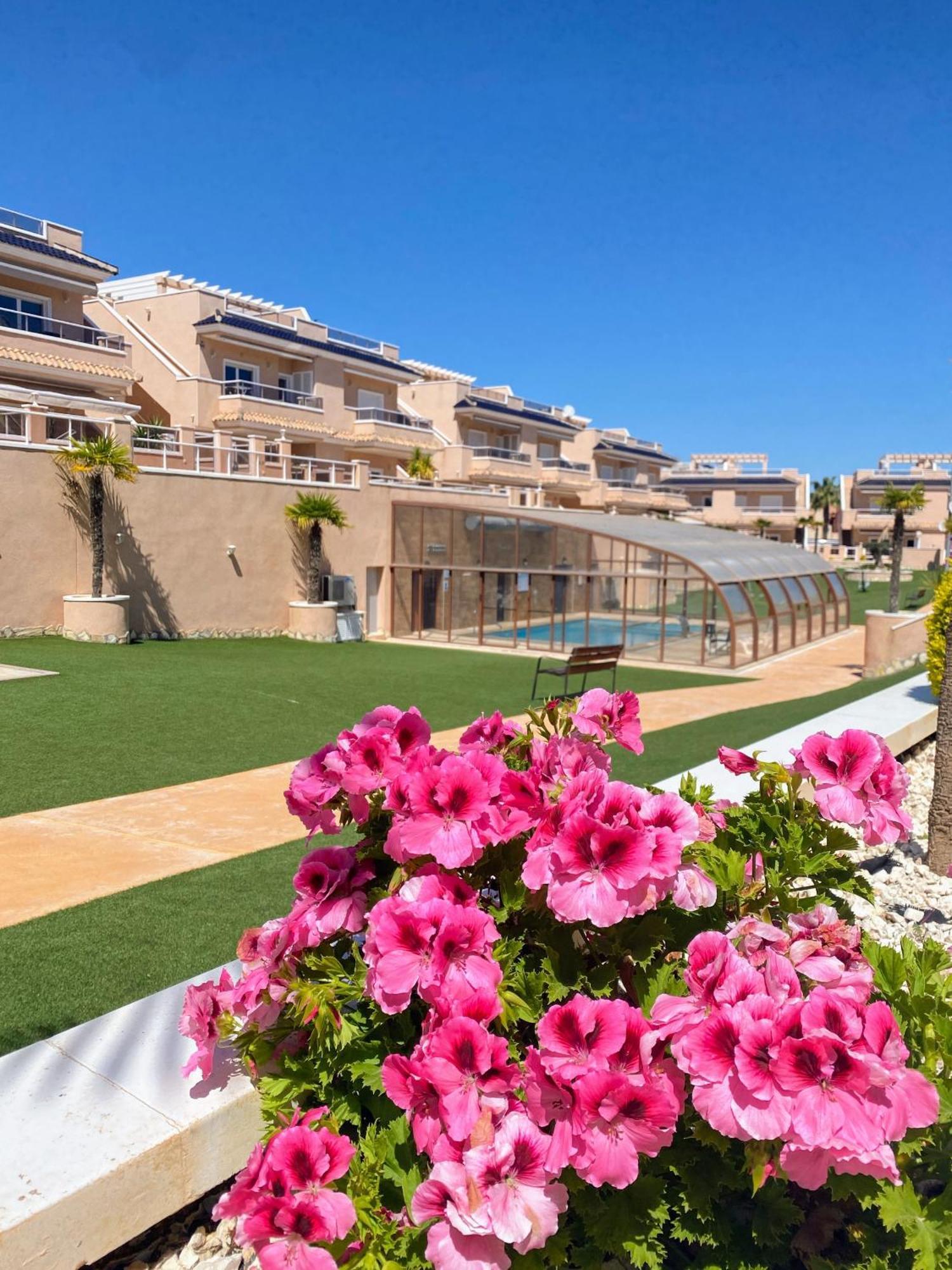 Apartments Punta Prima Indoor & Outdoor Pool Torrevieja Esterno foto